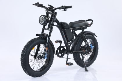 EMB009 New Design 750W Mountain Electric Bicycle Out Door With Fat Tire 20''Ebike