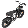 Electric Bike Ridstar Q20 MINI Speed 50km/h 1000W 48V15AH