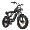 Electric Bike Ridstar Q20 MINI Speed 50km/h 1000W 48V15AH