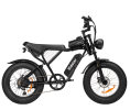 Off-road Electric Bike 1000W 20ah Black