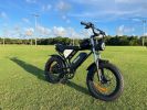 Electric Bike Ridstar Q20 MINI Speed 50km/h 1000W 48V15AH