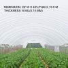 VEVOR Greenhouse Film 25 x 40 ft, Greenhouse Polyethylene Film 6 Mil Thickness, Greenhouse Plastic Greenhouse Clear Plastic Film UV Resistant