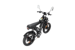 Dual Motor E-bike 2000W 52V 40Ah Fat Tire E-bike