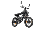 Dual Motor E-bike 2000W 52V 40Ah Fat Tire E-bike