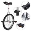 20in Wheel Unicycle Chrome