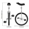 20in Wheel Unicycle Chrome