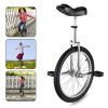 20in Wheel Unicycle Chrome