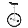 20in Wheel Unicycle Chrome